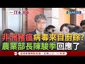 非洲豬瘟疫情