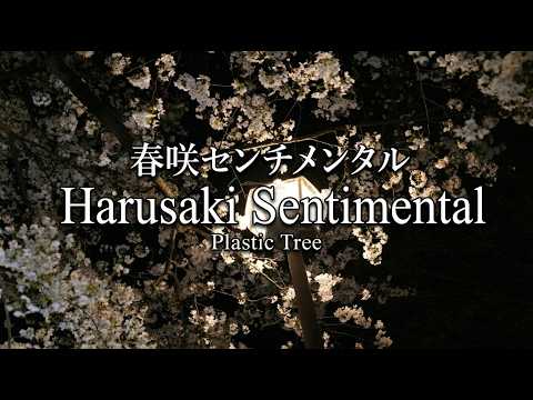 Harusaki Sentimental [春咲センチメンタル] - Plastic Tree (English Subtitles)
