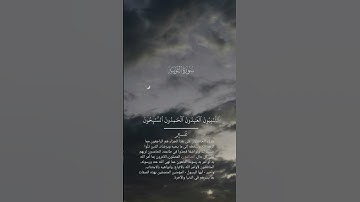 سورة التوبة القارئ اسلام صبحي 🍃.