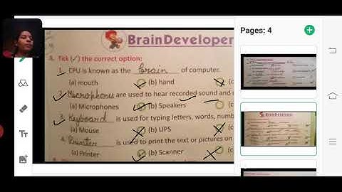 Tick the correct options// computer class 2 // CH- 1 to 4
