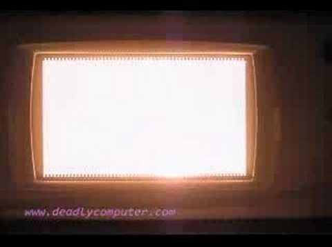 40 watt light bulb in microwave