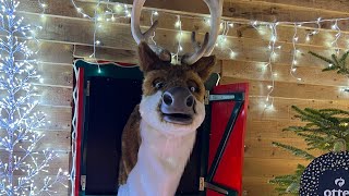 Otter Garden Centres Singing Reindeer 🦌🎄🎅#vlogmas2022 day 6
