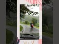 Kaathkuni Homes|Dehradun|explore|shorts|reels|homestay