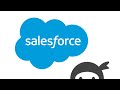 Salesforce CRM for Ninja Forms