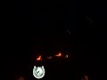 Faerie-Marked Horses | Moonfall Festival Magic ✨🐴🌙 #CozyGaming #equestriangame