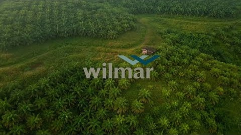 DBS Insights – Food & Agribusiness ESG Series: Sustainable Supply Chain (Wilmar)