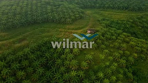 DBS Insights – Food & Agribusiness ESG Series: Sustainable Supply Chain (Wilmar)