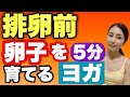 【妊活ヨガ】重要時期！排卵期に絶対やって欲しいヨガ5分