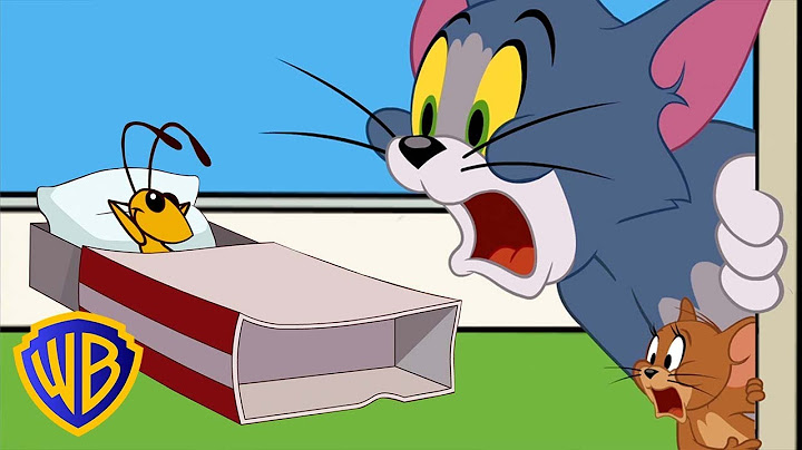 El problema con el grillo | Tom y Jerry en Latino | @WBKidsLatino