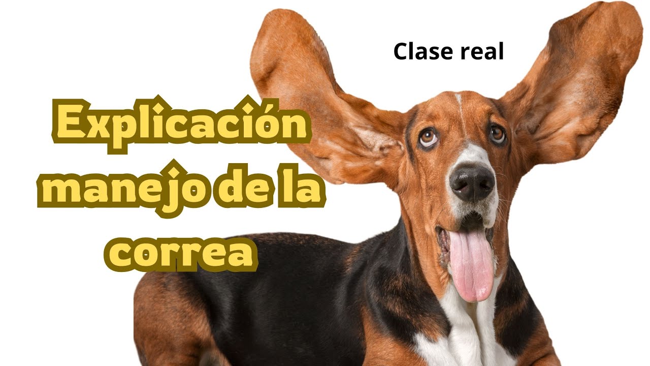 𝗘𝘅𝗽𝗹𝗶𝗰𝗮𝗰𝗶ó𝗻 𝗺𝗮𝗻𝗲𝗷𝗼 𝗱𝗲 𝗹𝗮 𝗰𝗼𝗿𝗿𝗲𝗮