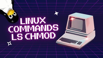 Mastering ls and chmod Commands in Linux: A Beginner