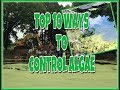 TOP 10 WAYS TO CONTROL POND ALGAE - Plus two really fun facts!