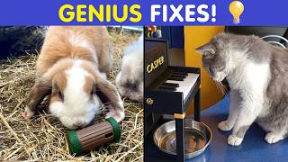 Creative Plastic Fixes That Solved Everyday Problems | Happy And Fun