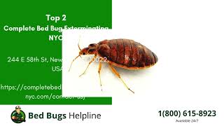 Top 3 Bed Bug Removal in Kings Park