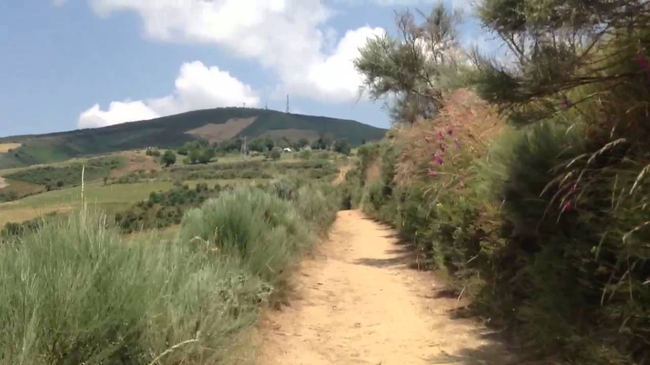 Camino francés Galicia