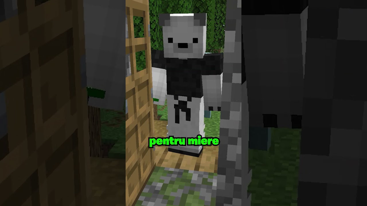 Malone se duce la magazin #minecraft #romania #ratonii