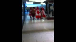 IMG 4926
