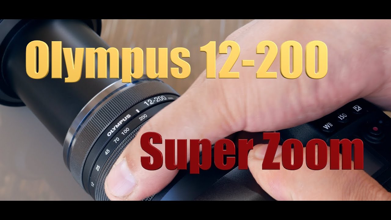 安価 - OLYMPUS 【最終値下げ】M.ZUIKO 75-300mm DIGITAL レンズ(ズーム) -  campanhas.cnbb.org.br