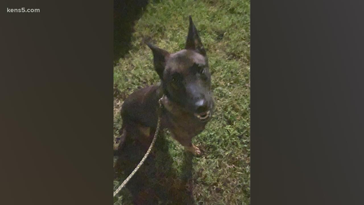 Hondo Police Department looking for escaped K-9