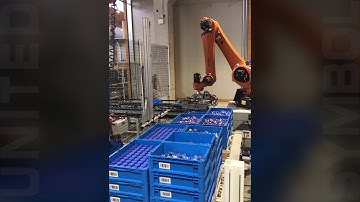 Isola di depallettizzazione & pallettizzazione KLT in plastica