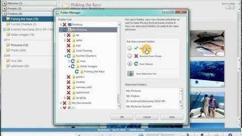 First Steps with Picasa 01 of 02