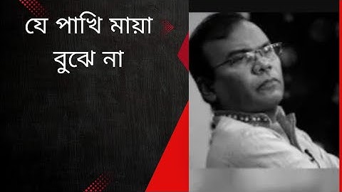 যে পাখি মায়া বোঝেনা। je pakhi maya bojhe na।Fojlur Rohaman Babu