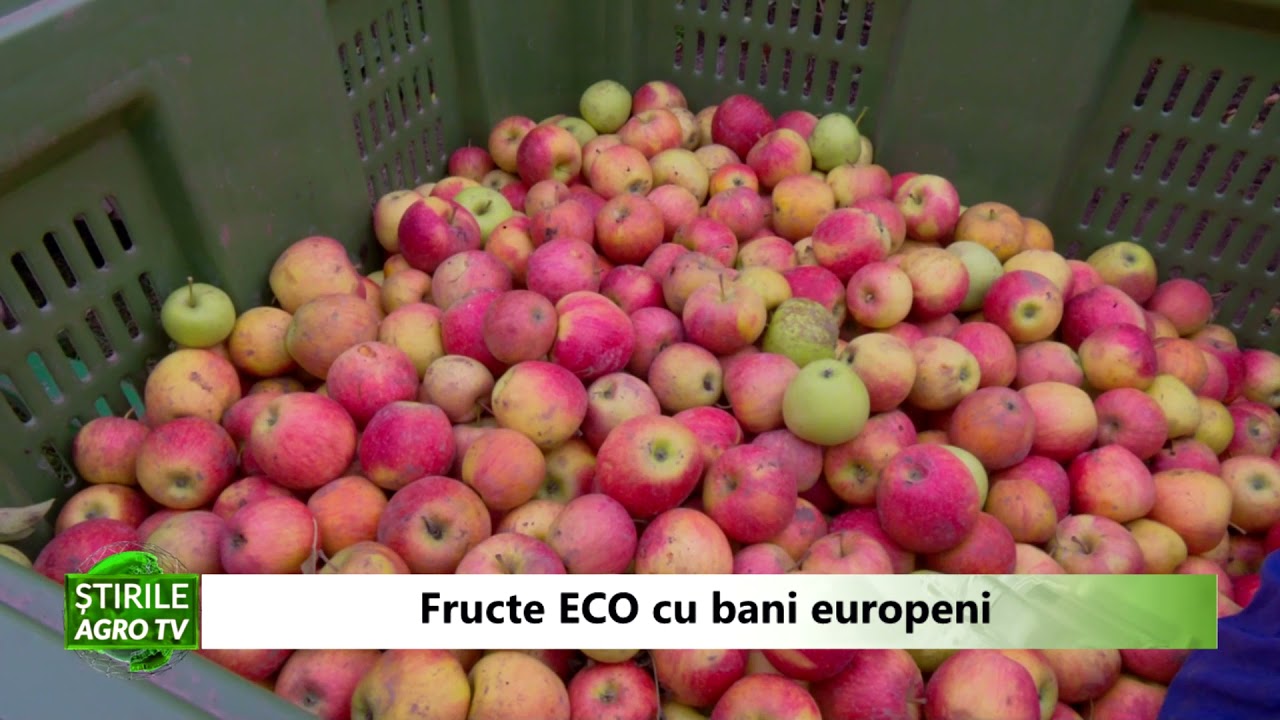Fructe ECO cu bani europeni 15 02 2022