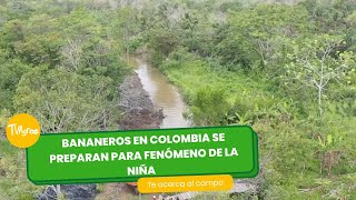 Bananeros en Colombia se preparan para el fenómeno de la niña-TvAgro por Juan Gonzalo Angel Restrepo