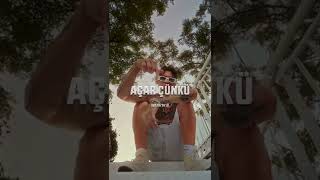 Cakal - Mingoflalar Resimi