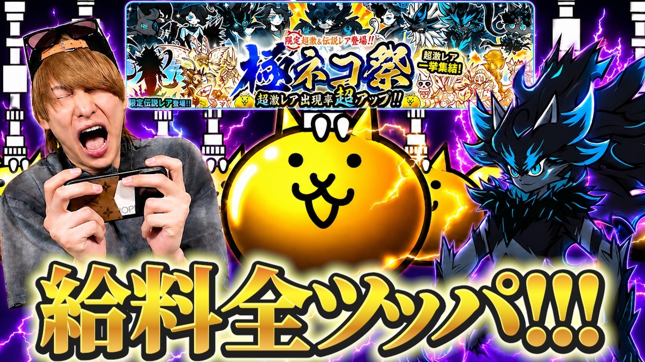 にゃんこ大好き様　2点 The man who blew his living expenses and went all-in on the