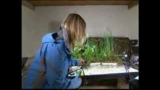 (Part 3) BBC Springwatch 2012 - Episode 10