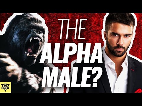 Como para ser o macho alfa - Conselhos Surpreendente!