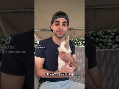 Video: Come dare da mangiare a un coniglio domestico: 10 passaggi (con immagini)