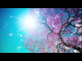 Yuya Matsushita- You