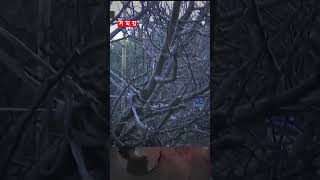 ভারতে ১১১ বছরের ইতিহাসে উষ্ণতম মাসের রেকর্ড গড়ল ফেব্রুয়ারি #shorts #indiaweather #indiatemperature