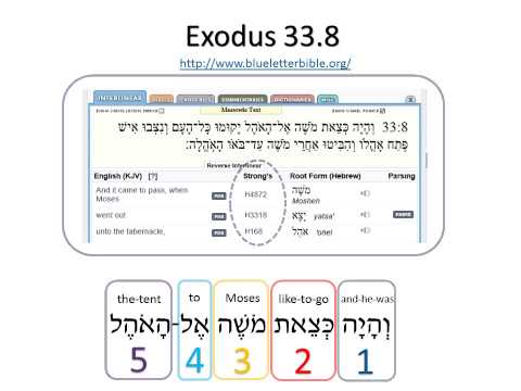 Interlinear Translation - Bible Translations