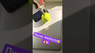 Лайк +12М И Мимо!Сломаем Систему🤣🙏 Shorts #Shorts #Erunda Mac,Тенистый Шарик,Телефон,Пассатижи!!!!