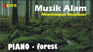 Relaxing Piano Forest Music, Membangun Imajinasi