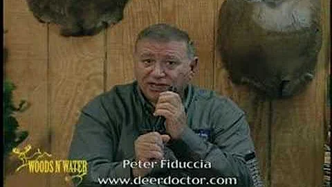 Deer Calling Tips: Trail Grunt Sequence