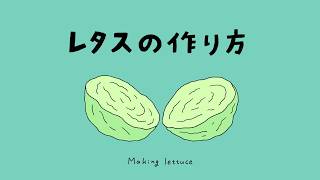 Looks Delicious! | Making Lettuce Replicas