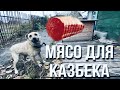 ГОРА МЯСО ДЛЯ КАЗБЕКА // ДЯДЬ ВИТЯ ЗАМЕРЗАЕТ