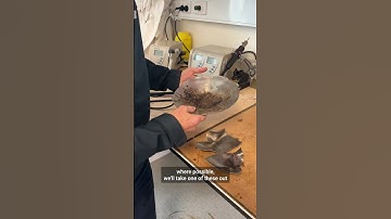 How the AFP studies an improvised explosive device