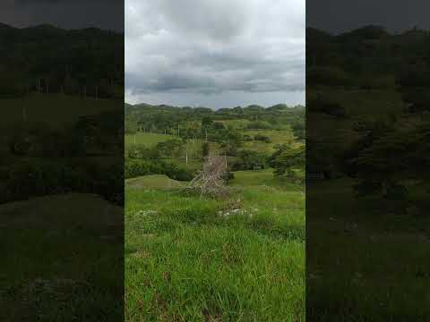 Naturaleza al desnudo.