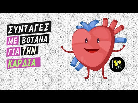 6 Συνταγές Με