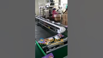 pouch bag spider robot case packer and palletizer