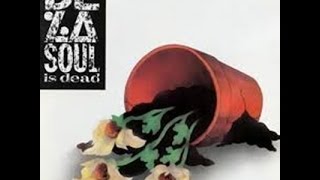 Fanatic of The B World - De La Soul