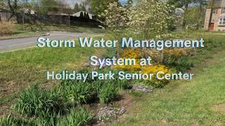 Bioretention Planting Redesign - Stormwater Management System - Part 2