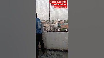 my cute birds house 🏠#birds #bird #pigeon #shorts #shortvideo #viral #video #youtubeshorts #videos