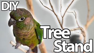 Parrot Tree Stand | DIY