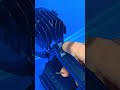 This 48V Beast Can Light Up Anything in Seconds!"